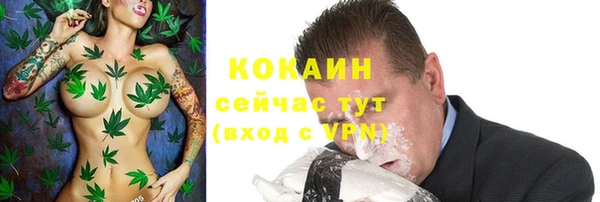 apvp Абаза
