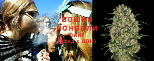 PSILOCYBIN Абинск