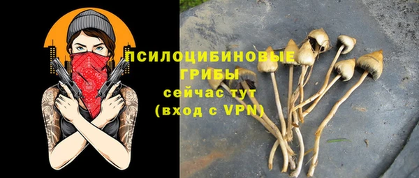 герыч Нязепетровск