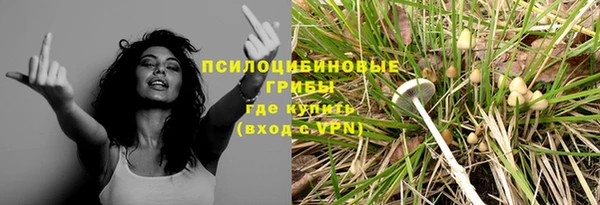 apvp Абаза