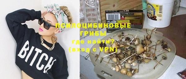 apvp Абаза