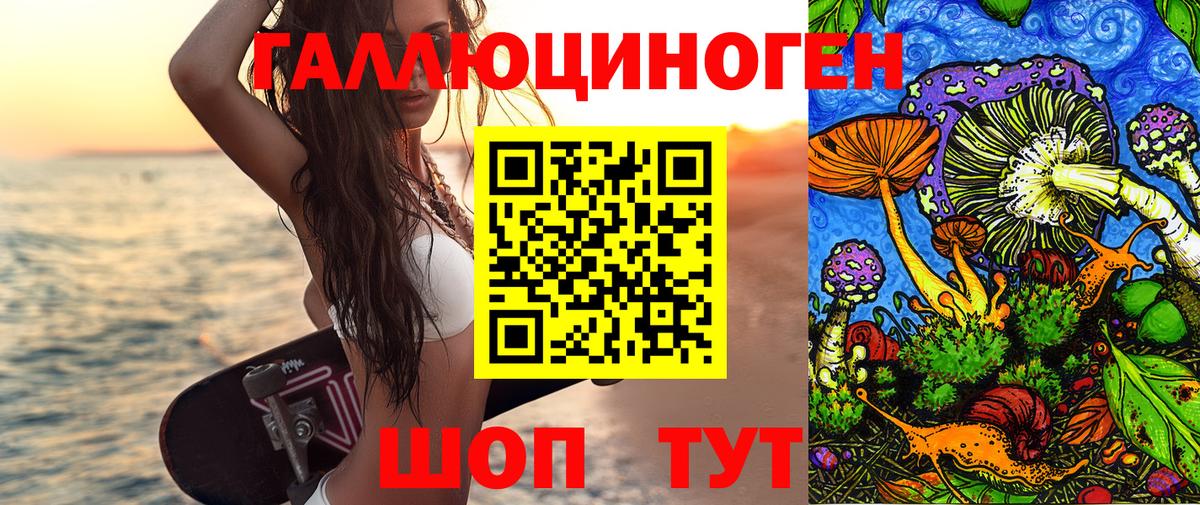 Псилоцибиновые грибы Cubensis Таганрог