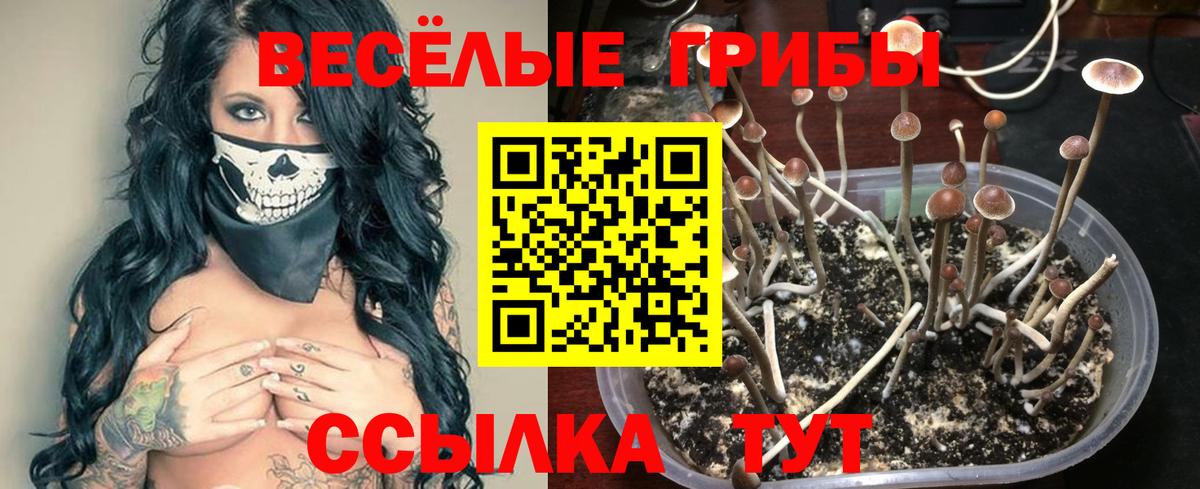 Псилоцибиновые грибы мицелий  Вход с VPN  Таганрог 